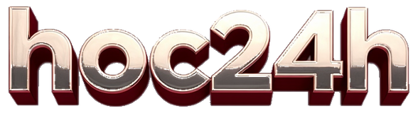 hoc24h logo